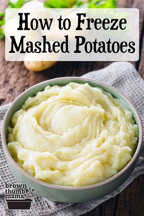 How to Freeze and Reheat Mashed Potatoes - Brown Thumb Mama®