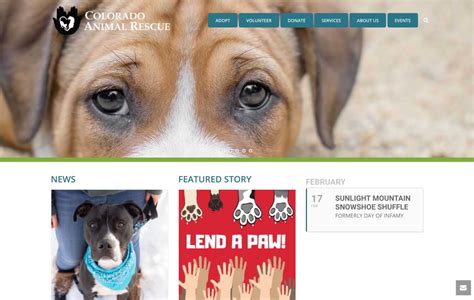 Colorado Animal Rescue | Website Design by BlizzardPress