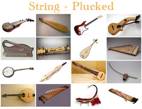 Instruments - String Plucked I Quiz - By kfastic