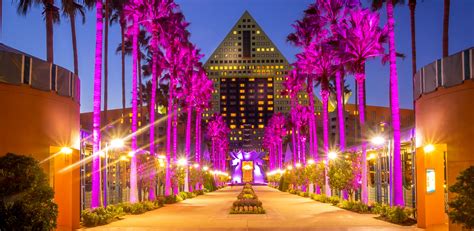 Best Disneyland off-site hotels worth staying in Anaheim - Born Free - Fare Buzz Blog