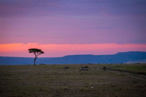 10 Kenya Travel Tips to Know Before You Go Travel Inspo, Travel ...