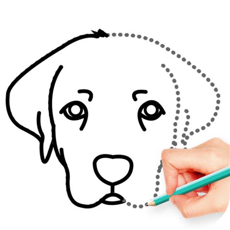 How To Draw Animal - Apps on Google Play