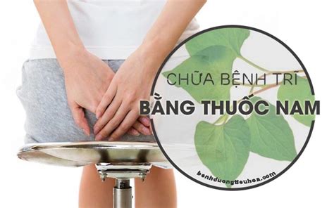 5 Bài Thuốc Nam Chữa Bệnh Trĩ Tốt Nhất Được Nhiều Người Tin Dùng