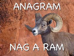 Anagram Examples