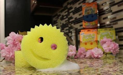 Scrub Daddy Net Worth 2022 – Hollywood Zam