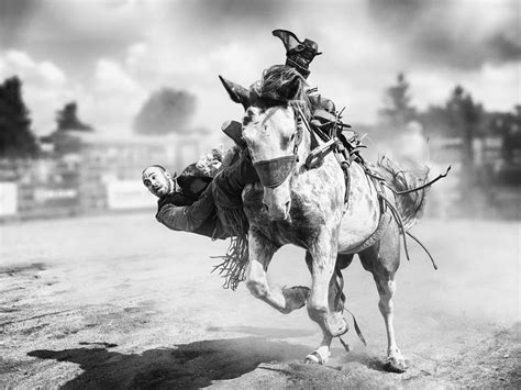 Bucking Horse 2 Photograph by Steven Zhou - Fine Art America