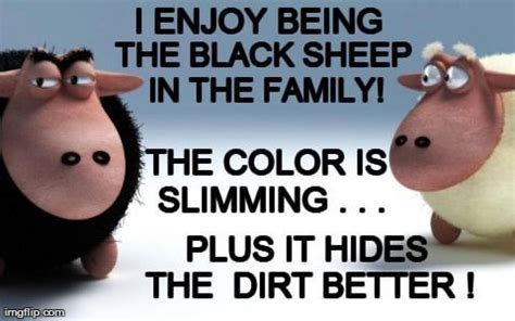 family black sheep meme - Yahoo Search Results | Black sheep, Sheep ...