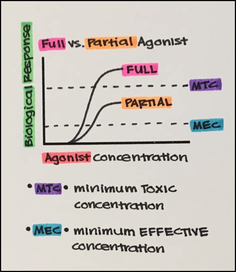 8. Two Main Classes of Receptor Ligands in Pharmacology: Agonists & Antagonists – Principles of ...