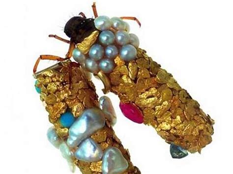 Artist encourages fly larvae to build themselves solid gold shells ...