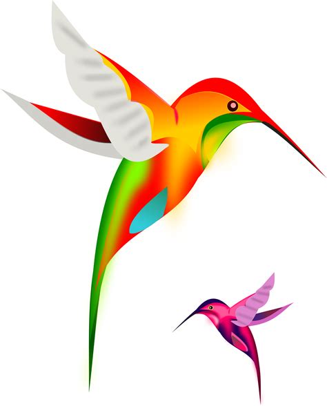 Colibri birds | Hummingbird art, Butterfly art painting, Clip art