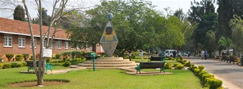 Maseno University Courses - Degree, Masters, PhD, Diploma, Certificate