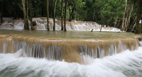 Discovering the beauty of Luang Prabang Waterfalls | AOJourneys