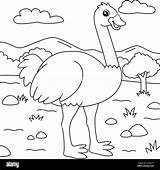 Free Printable Ostrich Coloring Pages For Kids Page sketch template