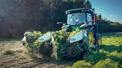 A Guide to Peanut Harvesting and Shelling – Hampton Farms