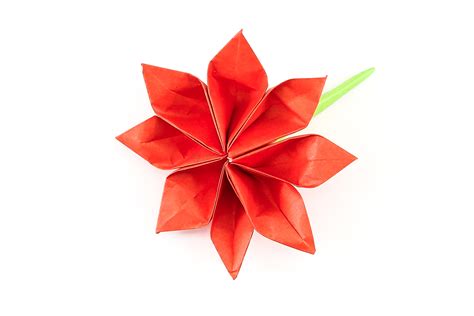 How To Fold An 8 Petal Origami Flower - Folding Instructions - Origami ...