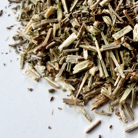 Blue Vervain Herb, c/s Organic | Little Woods Herbal: Tea Blends and Bulk Herbs