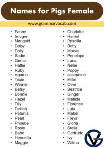 Cute Names for Pet Pigs | Name Ideas That Will Suit Your Pet - GrammarVocab