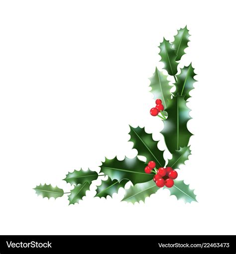 Holly leaves corner Royalty Free Vector Image - VectorStock