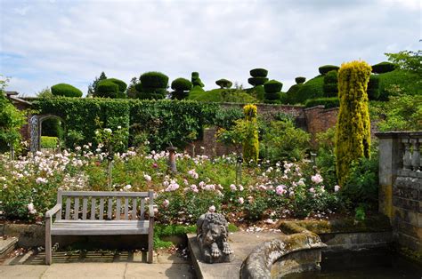 Tatton Park Rose Garden by Forestina-Fotos on DeviantArt