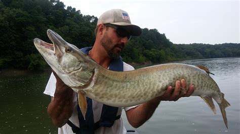 Muskellunge | Flickr