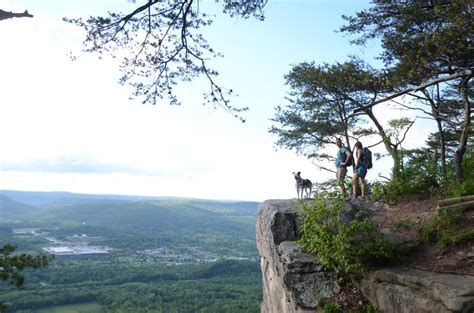 15 Tennessee Hikes with Amazing Views - WellTuned by BCBST