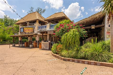 'Festival of the Lion King' will return to Disney's Animal Kingdom in ...