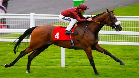 Racing Post Trophy hero Elm Park sold to stand in France | Bloodstock News | Racing Post