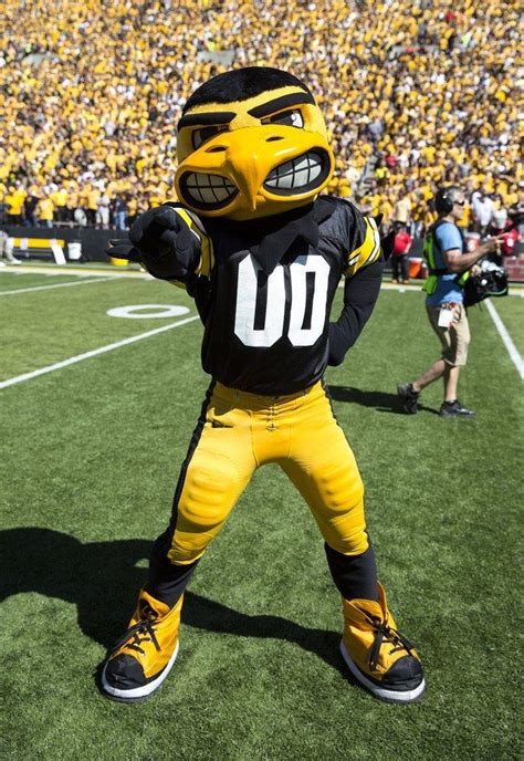 Mean mascot? Iowa professor wants a kinder, gentler Hawkeye – The Mercury News