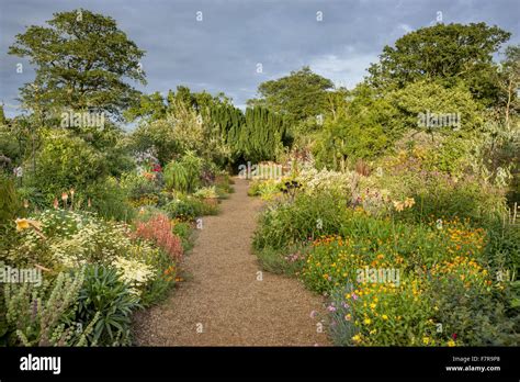 The double border in the Walled Garden at Felbrigg Hall, Gardens and ...