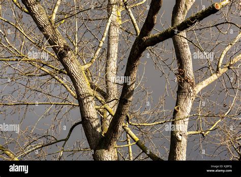 Colors of Autumn in central Europe Stock Photo - Alamy