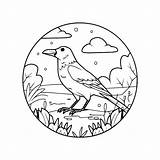 Premium Vector  Crow coloring Pages Bird outline vector For sketch template