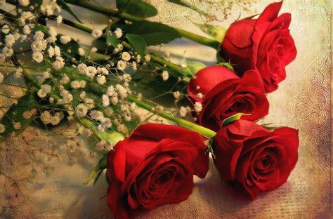 عکس شاخه گل های رز قرمز red roses flower