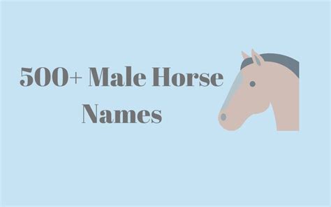 121+ Pinto Horse Names - Great Name Ideas - Equine Desire