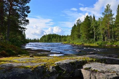 Taiga Biome: Location, Climate, Temperature, Precipitation, Plants and Animals - Conserve Energy ...