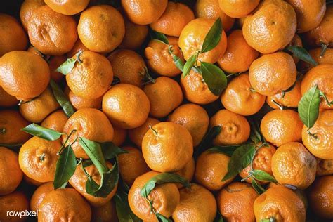 Fresh tangerines | free image by rawpixel.com | Fruit, Photographing food, Food pictures