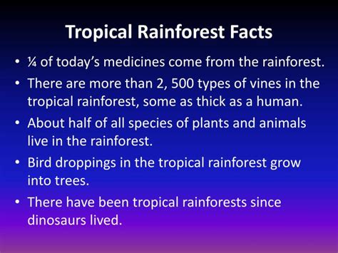 Tropical Rainforest Biome Facts