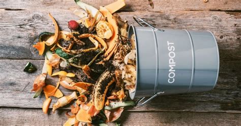 Compost Tumbler vs. Bin - Which Composter Is Best For You? - Green Living Nation