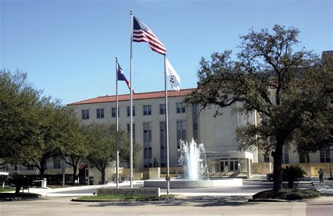 New Baylor College of Medicine Center to Focus on Diversity and Equity ...