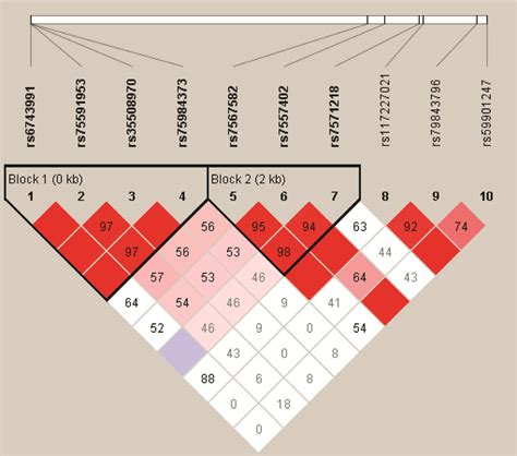 Haplotype block map for the ten EPAS1 SNPs genotype in this study ...