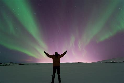 Reykjavik Excursions Northern Lights Tour - All You Need to Know BEFORE You Go