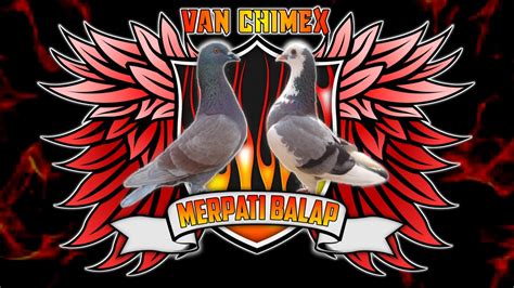 logo merpati #pigeon design bird | Gambar burung, Merpati, Burung cantik