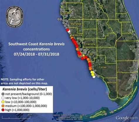 What Is Florida's Red Tide? Cause, Map of Contaminated Waters