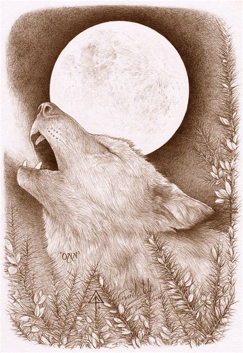 The Last Wolf Howling at the Moon Drawing by Yuri Leitch - Fine Art America