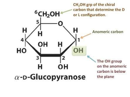 Reducing Sugar Vs Non Reducing Sugar