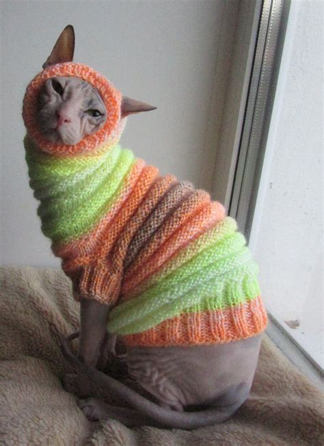 Clothing for cats Clothes for Sphynx Cat clothes sweater | Etsy in 2021 | Cat clothes, Cute ...