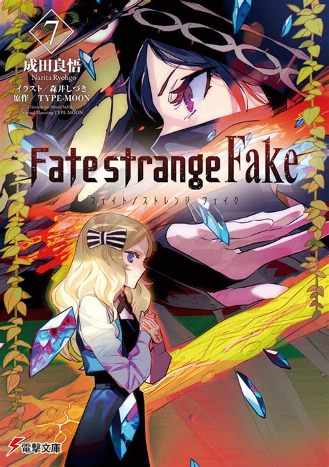 Fate/Strange Fake Light Novel Volume 7 Cover : r/fatestaynight