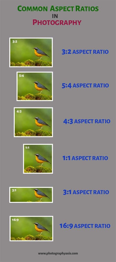 Aspect Ratio- Which is Best For Your Images? - PhotographyAxis