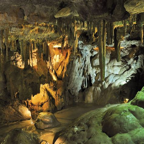 Wisconsin Caves | A Guide to Restoration & Why it is Necessary