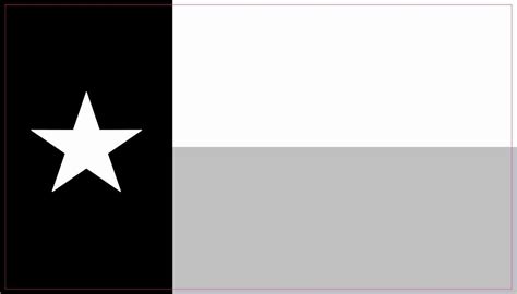 black and white texas flag