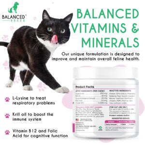 What are the Essential Cat Vitamins and What Makes them so Effective ...